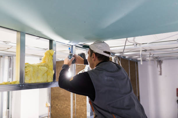 Best Eco-Friendly Insulation in Holyoke, MA