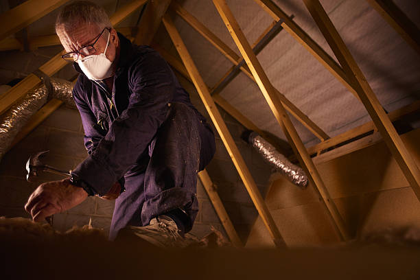 Types of Insulation We Offer in Holyoke, MA
